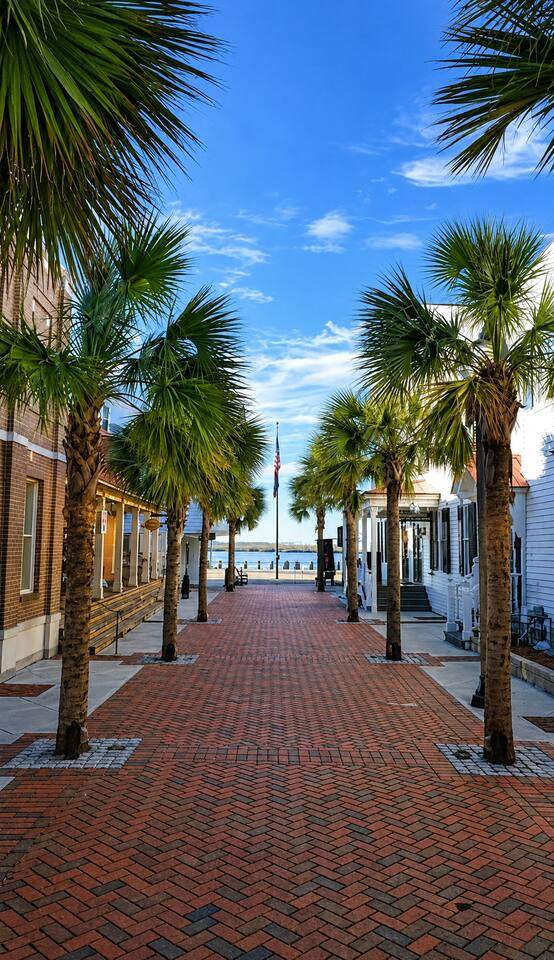 Palm-lined brick sidewalk leading toward the water downtown